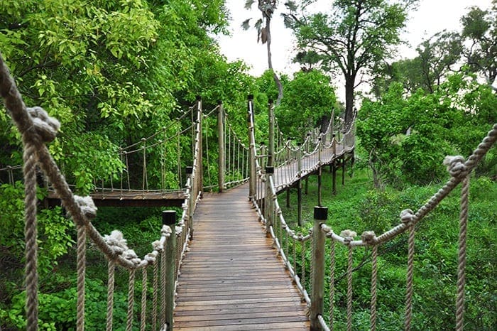 Baines Camp - Elevated walkways