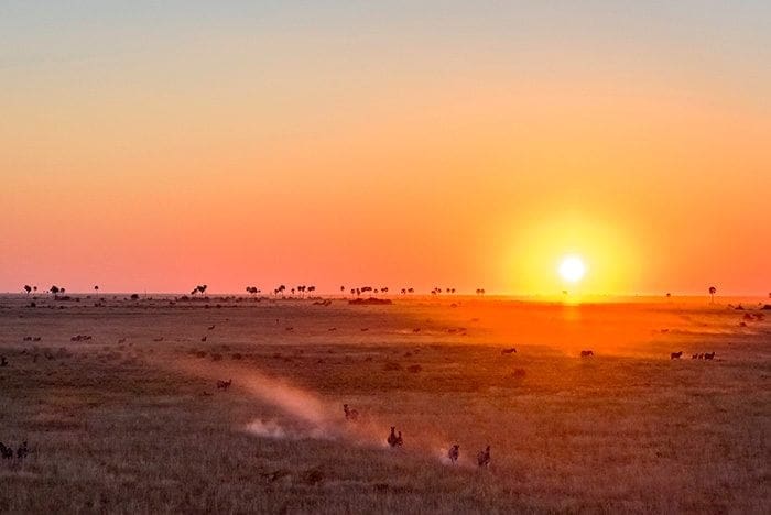 Jacks Camp - Zebra sunset