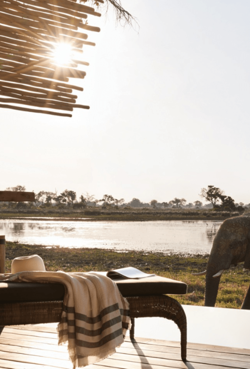 6 Nights Eagle Island Lodge & Savute Elephant Lodge