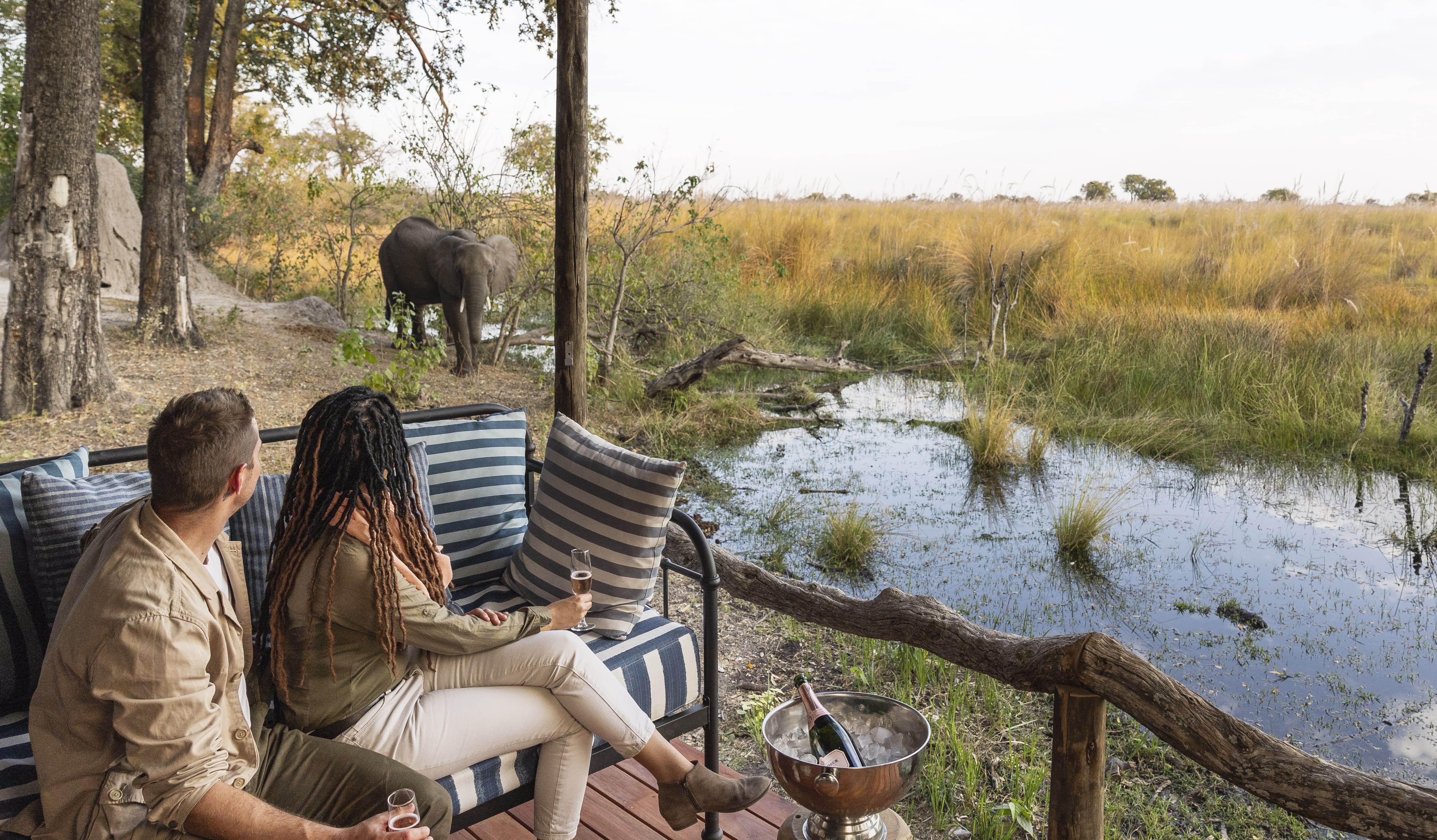 Your patio view of an elephant walking right past your room at Shinde Footsteps, Botswana